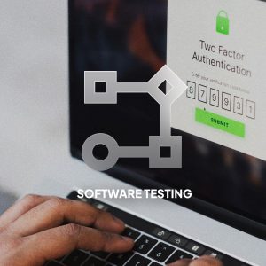 Software Testing